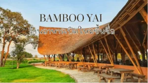 Bamboo Yai